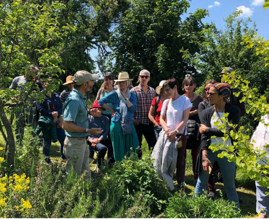 apéro découverte genève cultive potager urbain facile et naturel agriculture urbaine écologie développement durable
