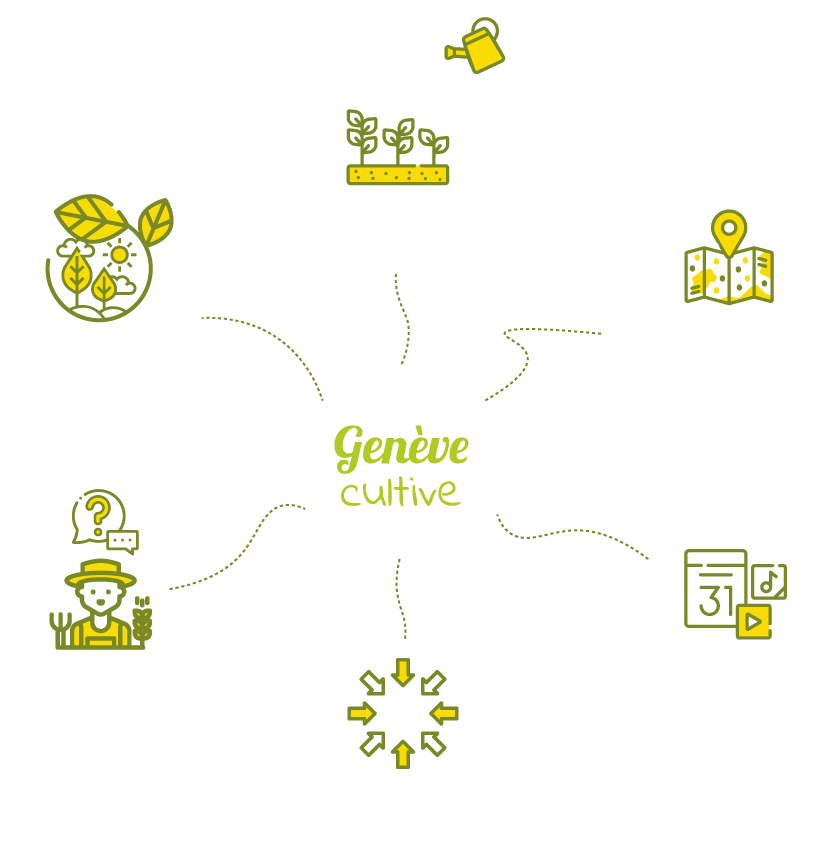 infographie genève cultive agriculture urbaine potagers urbains genève potager collectif atelier jardinage enfant le potager urbain facile et naturel jardin urbain balcon .png