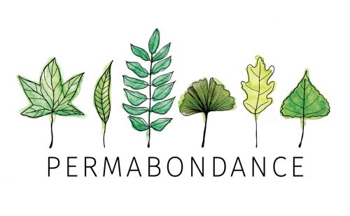 permabondance agriculture urbaine jardin urbain permaculture agriculture